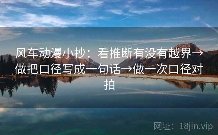 风车动漫小抄：看推断有没有越界→做把口径写成一句话→做一次口径对拍